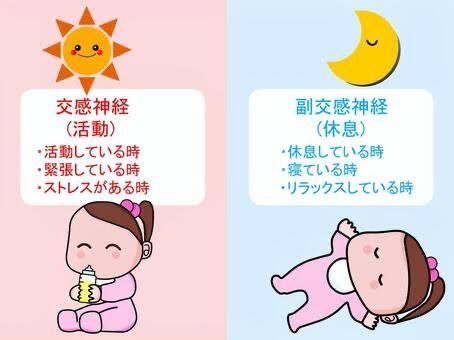 sympathetic-parasympathetic