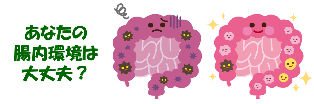 腸内環境について